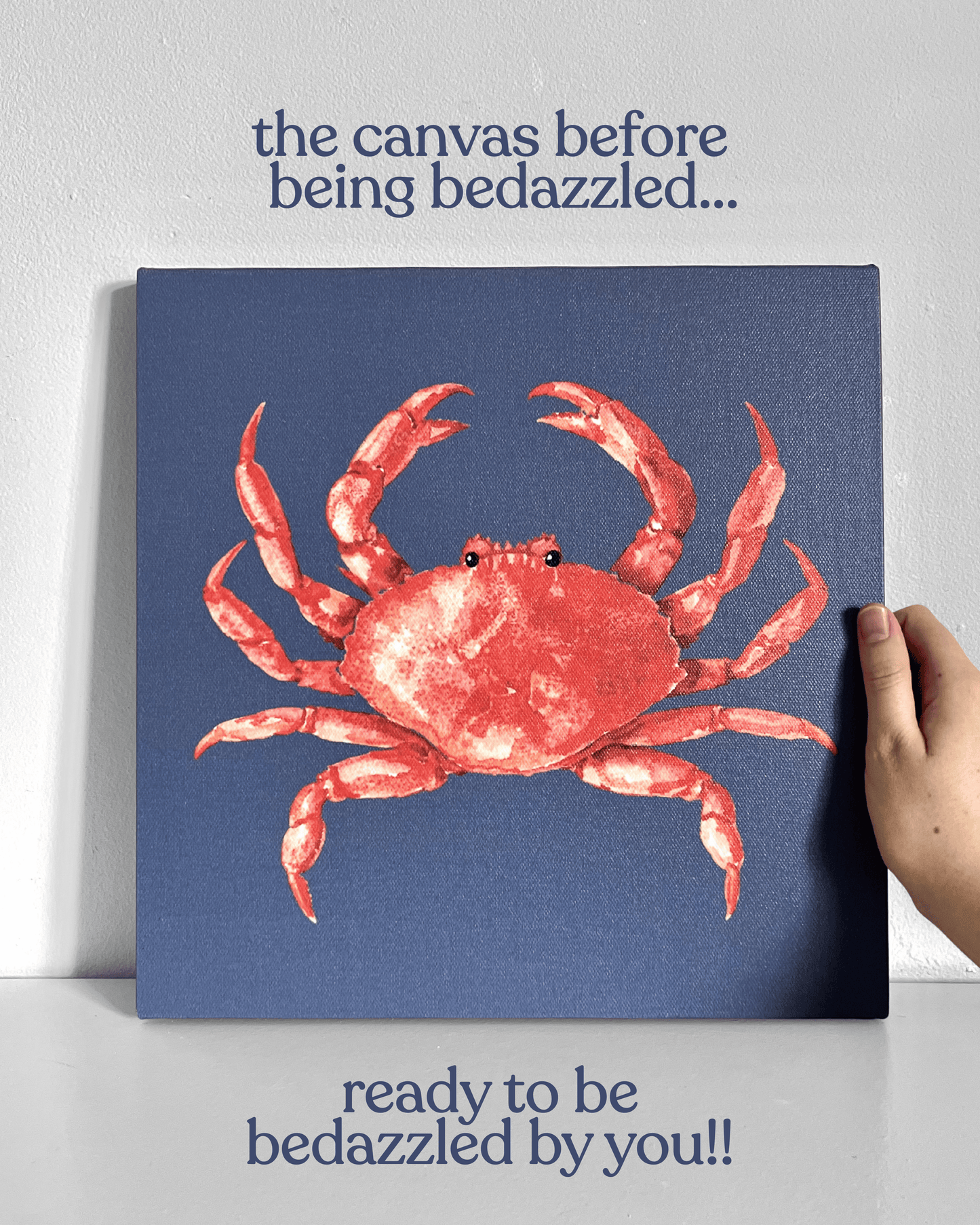 Crab Bedazzle Canvas Kit