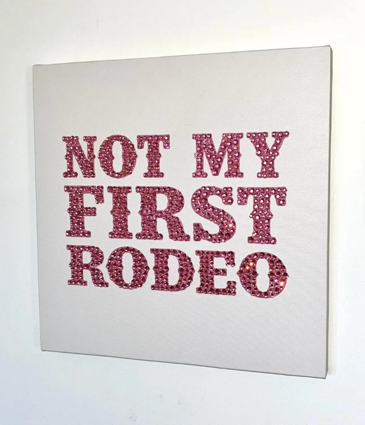 Not My First Rodeo Bedazzle Canvas Kit