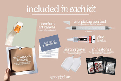Silly Goose Bedazzle Canvas Kit