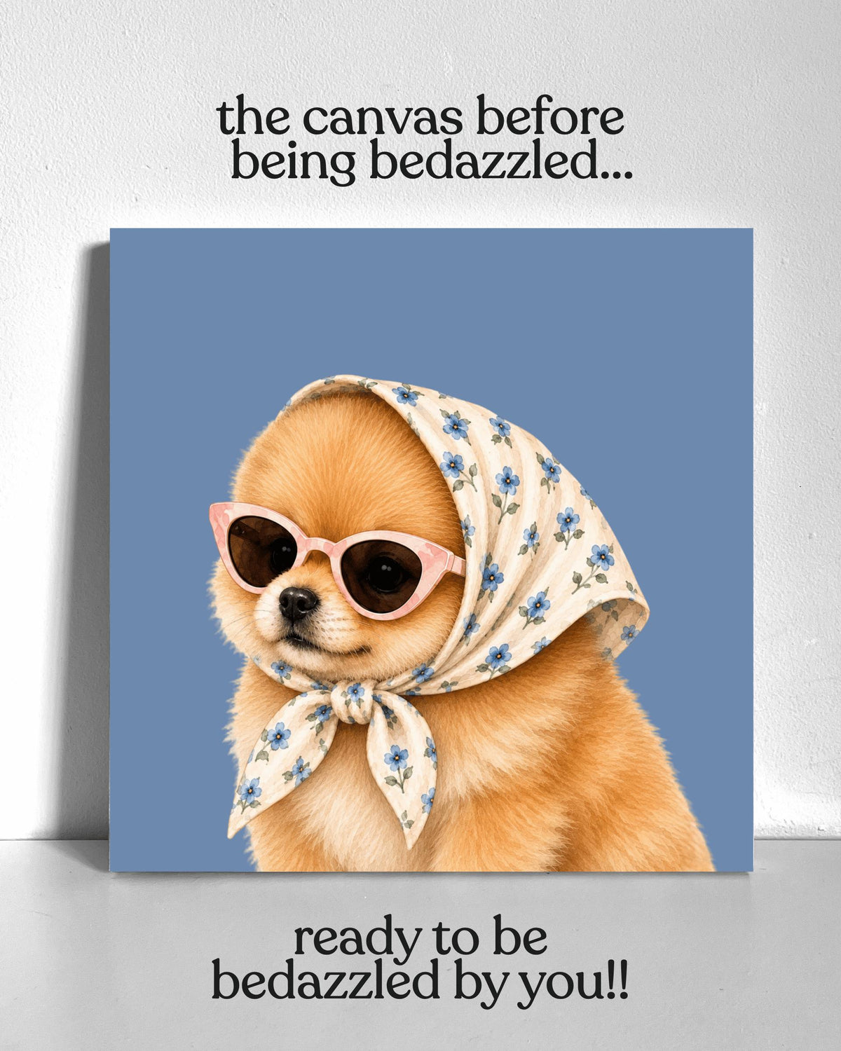 Stylish Pomeranian Puppy Bedazzle Canvas Kit