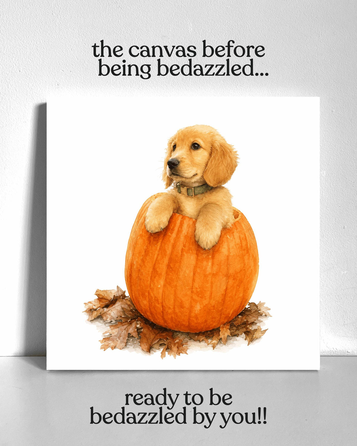 Puppy in a Pumpkin Bedazzle Canvas Kit