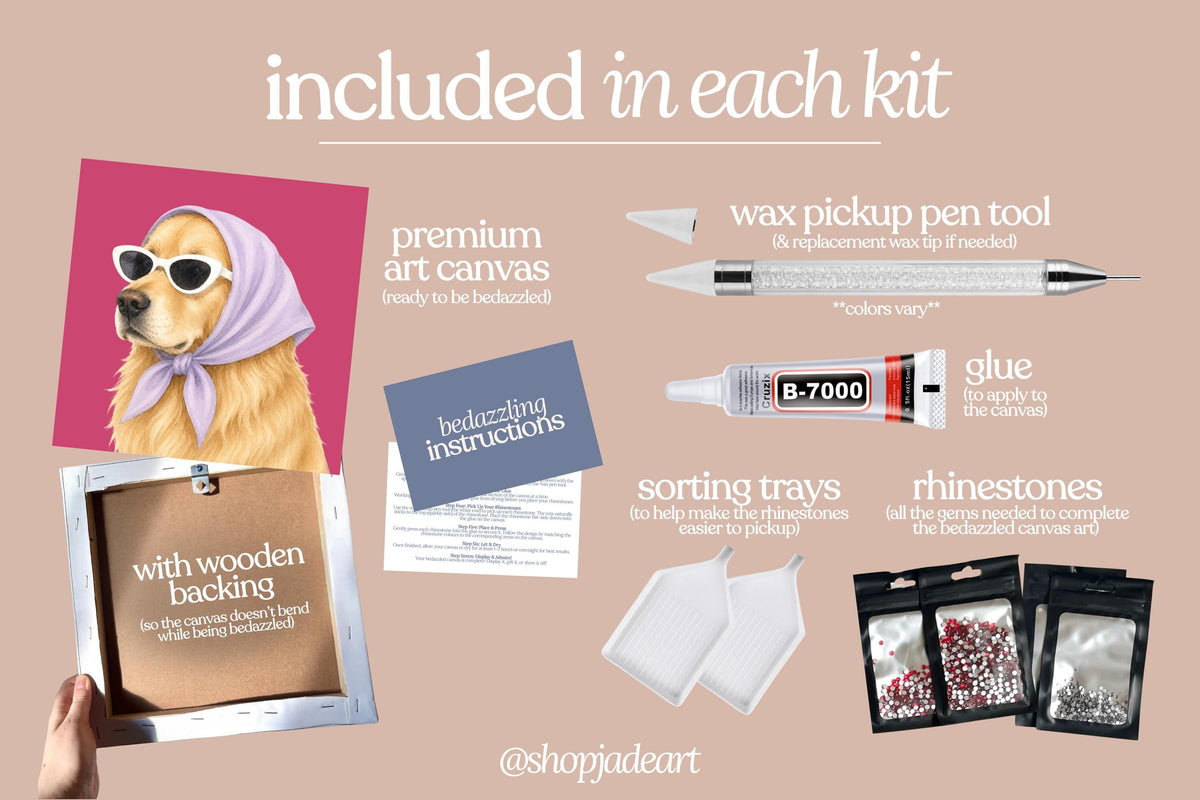 Stylish Lab Bedazzle Canvas Kit