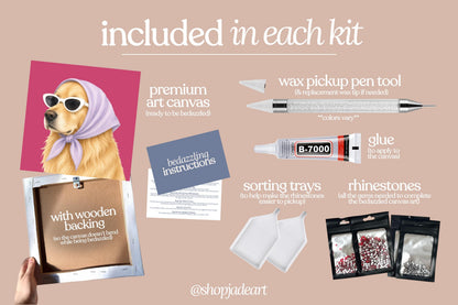 Stylish Lab Bedazzle Canvas Kit