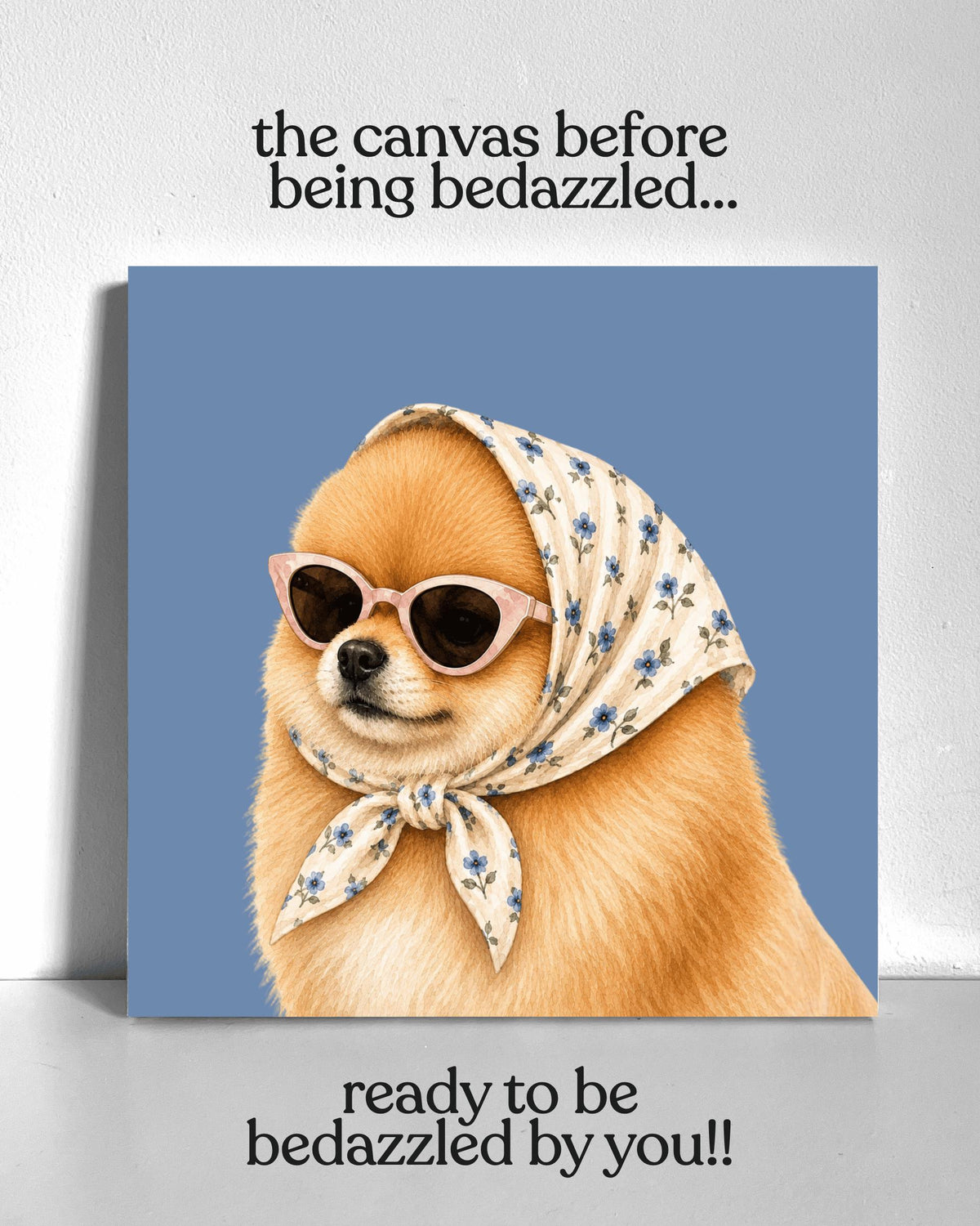 Stylish Pomeranian Bedazzle Canvas Kit