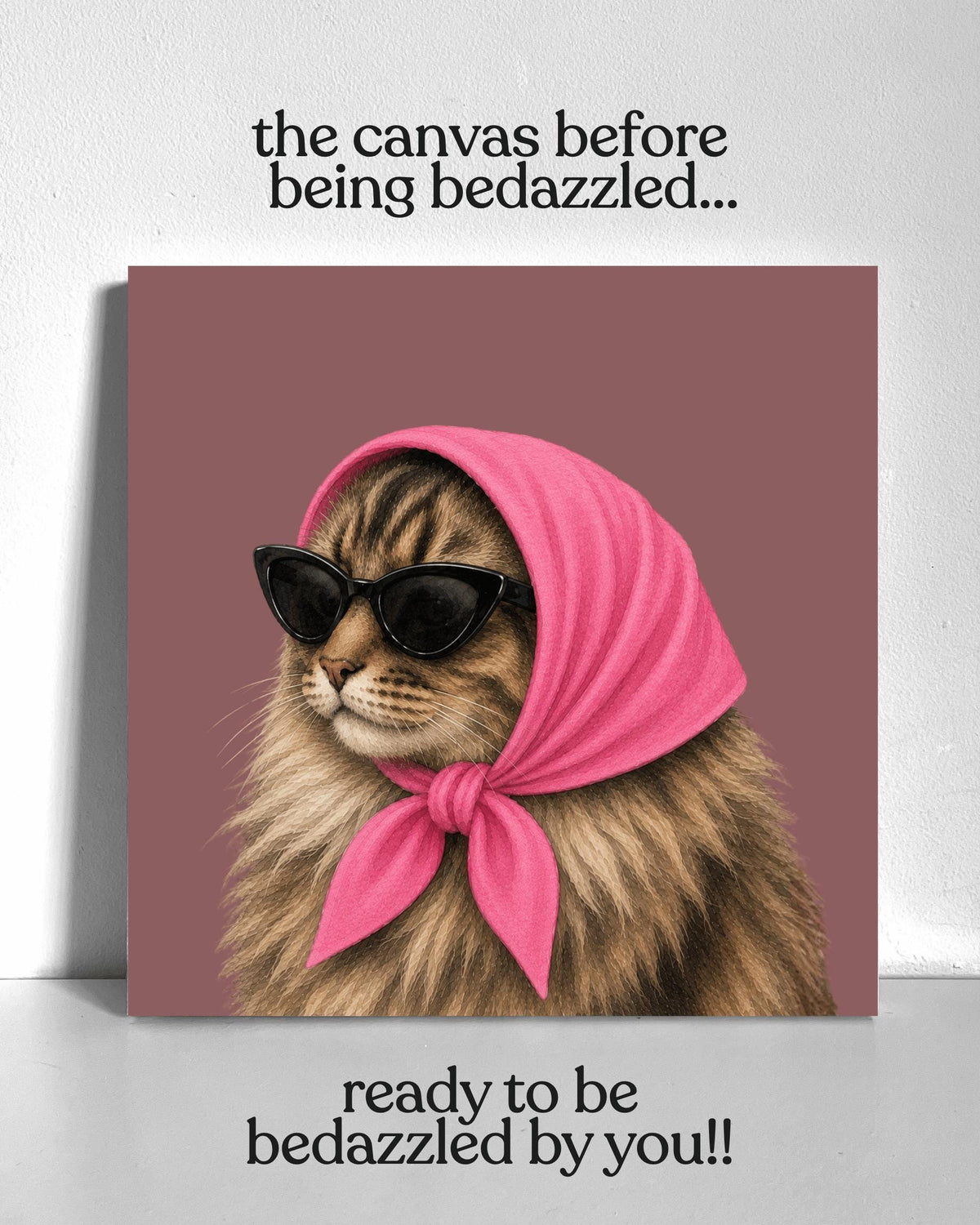 Stylish Main Cat Bedazzle Canvas Kit