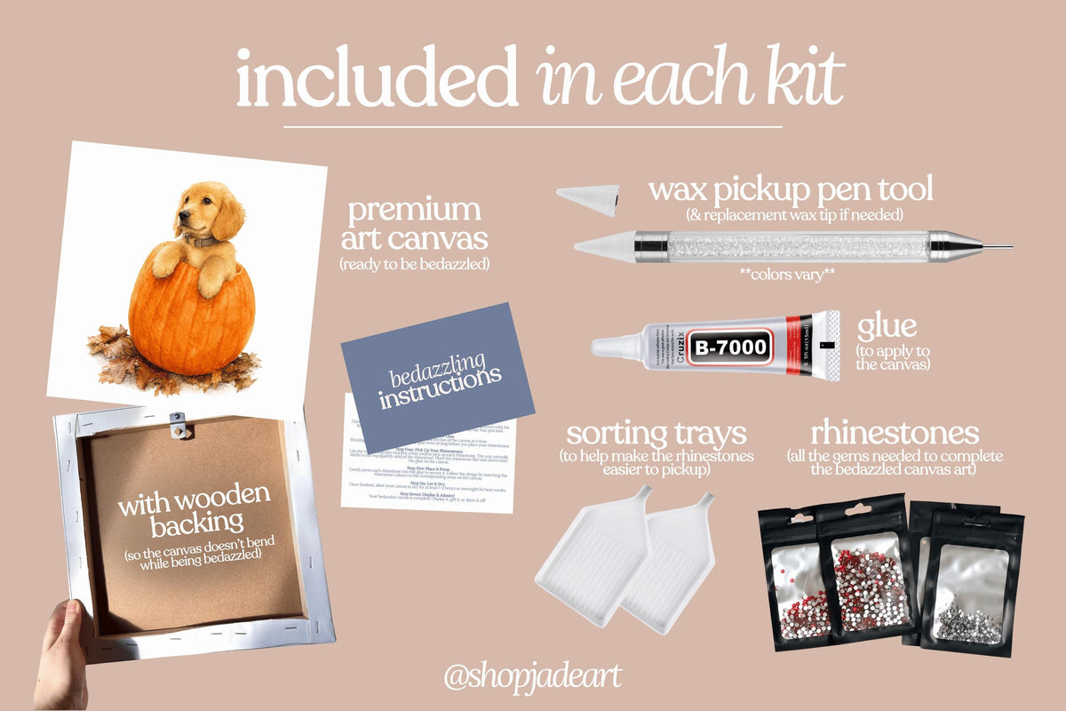 Puppy in a Pumpkin Bedazzle Canvas Kit