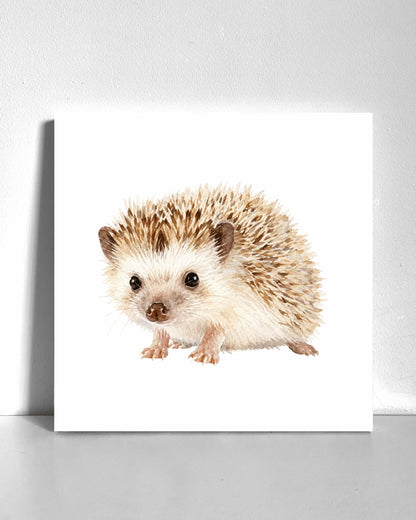 Hedgehog Bedazzle Canvas Kit