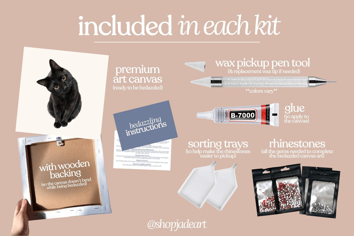 Black Kitten Bedazzle Canvas Kit