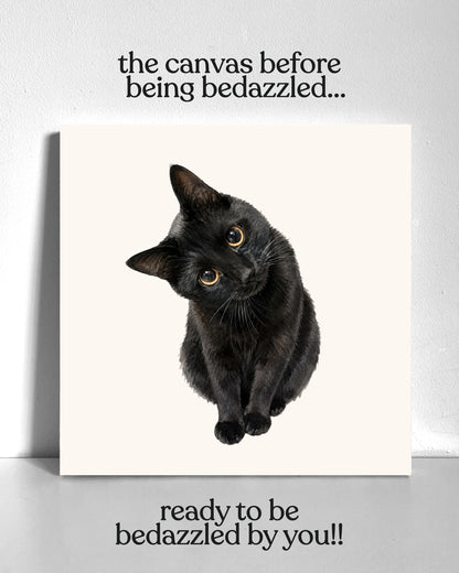 Black Kitten Bedazzle Canvas Kit