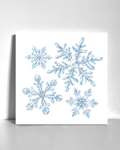 Snowflakes Bedazzle Canvas Kit