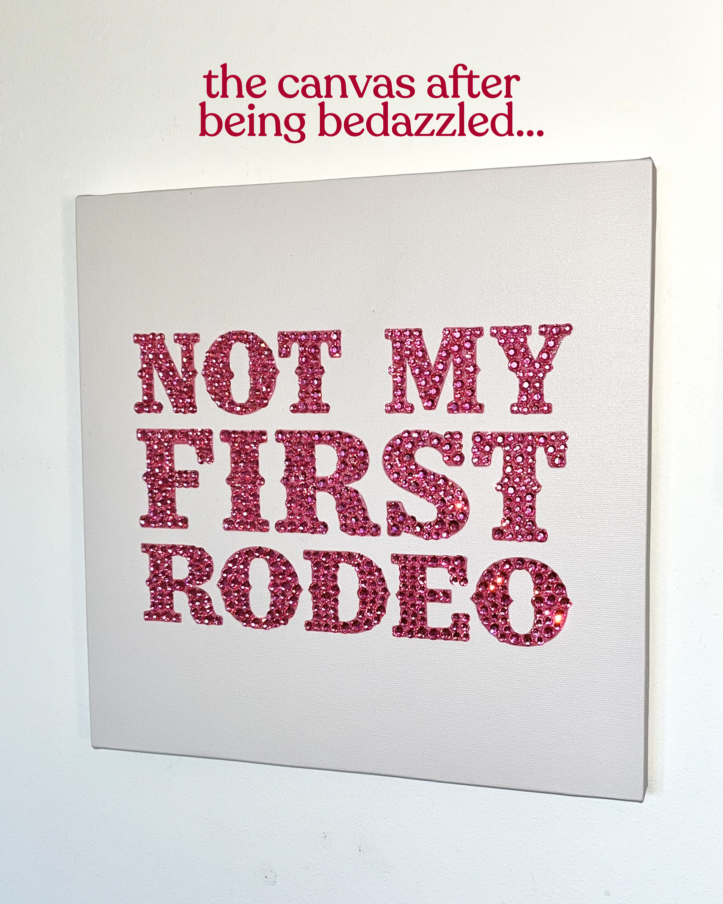 Not My First Rodeo Bedazzle Canvas Kit